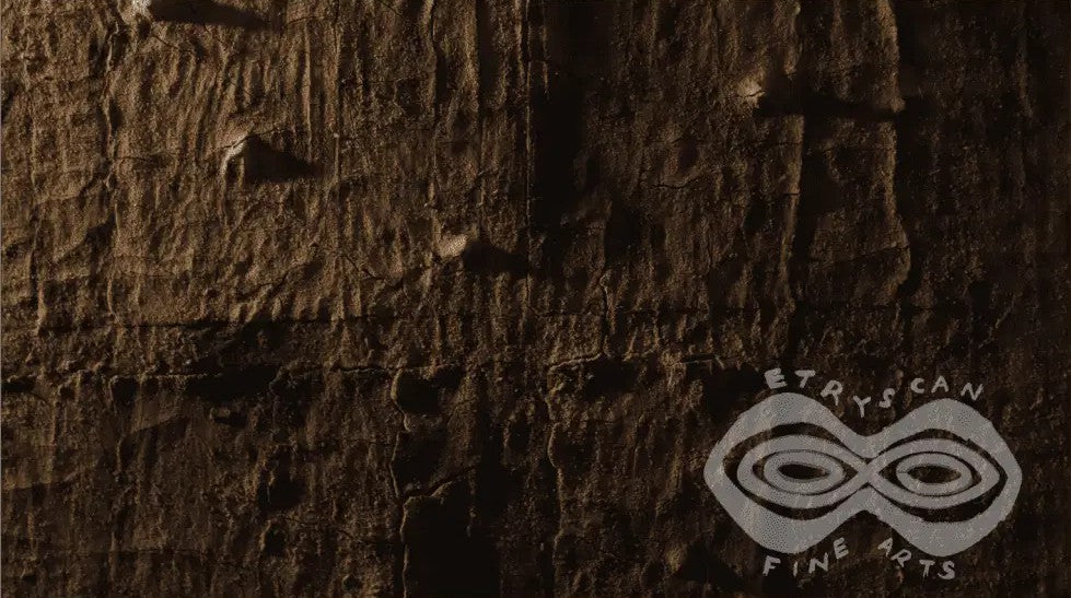 June - Amazon Bark Nightfall