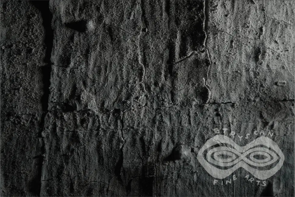 July - Amazon Bark Full Moon