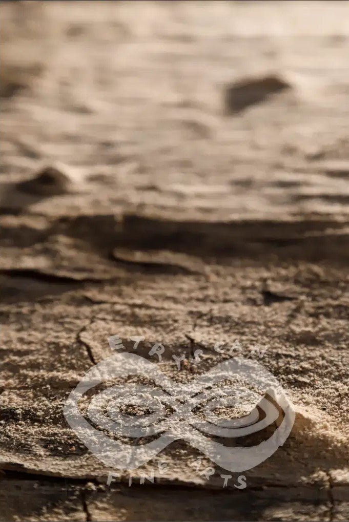 01. January - Amazon Bark Sunrise -  01. Series_Jan25-AMA-BS- 2 of 7