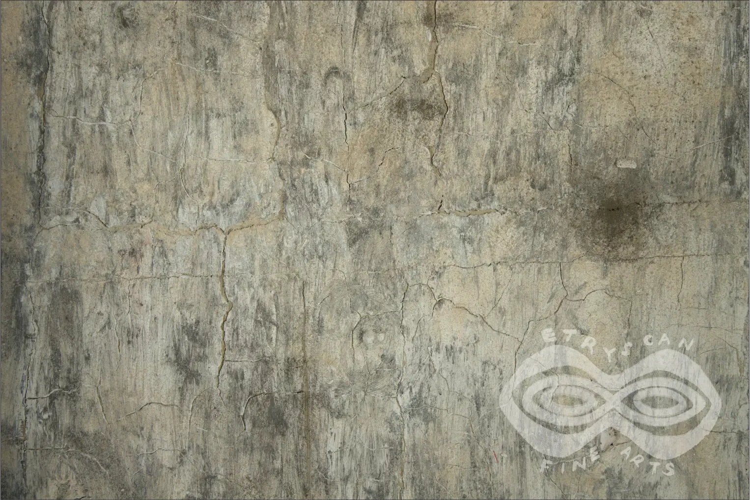 02. February - Amazon Bark Noon - 02. Series_Feb25-AMA-BN- 1 / 7