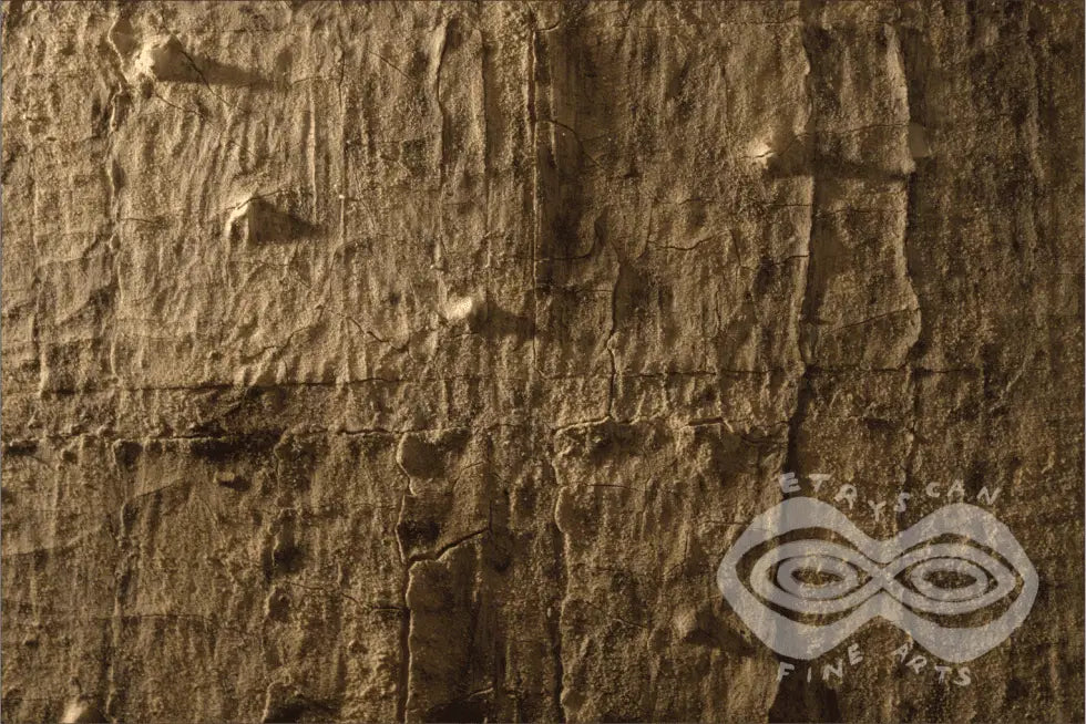 04. April - Amazon Bark Sunset  - 04 Series_Apr25-AMA-BSS- 1 / 7