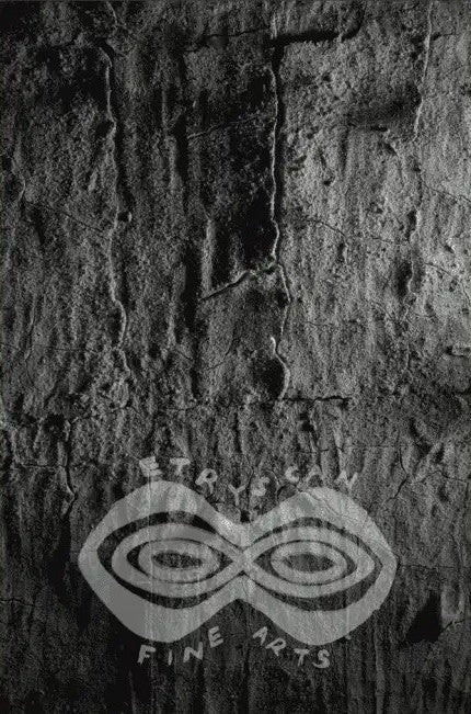 05. May - Amazon Bark Sundown - 05. Series_May25-AMA-BSD- 1 / 7